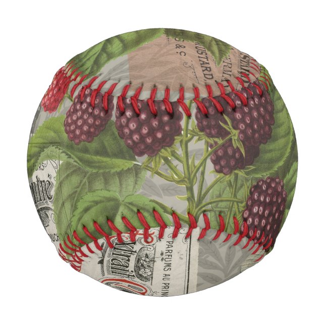 Pelota De Béisbol Blackberries Floral Jardín Flor Mariposa Arte (Anverso)