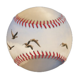 Pelota De Béisbol Bloqueo de aves en vuelo