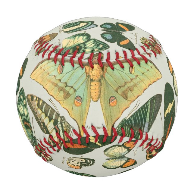 Pelota De Béisbol Butterfly Vintage Antiguo Butterflies Art (Anverso)