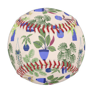 Pelota De Béisbol Cactus Succulent