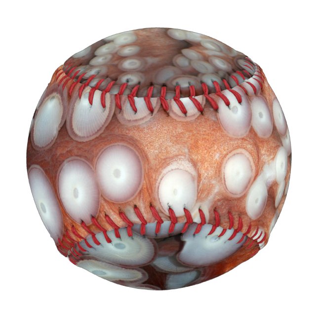 Pelota De Béisbol Caer en el pulpo cercano (Anverso)