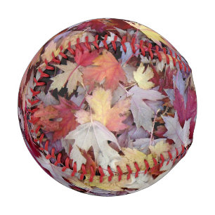 Pelota De Béisbol Caída del otoño deja el béisbol