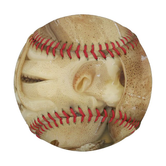 Pelota De Béisbol Calamari (Anverso)