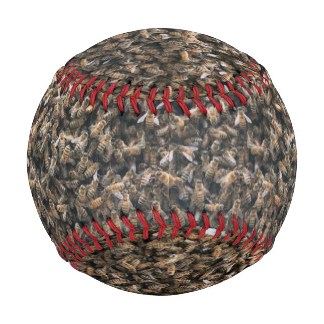 Pelota De Béisbol Calentamiento (Anverso)