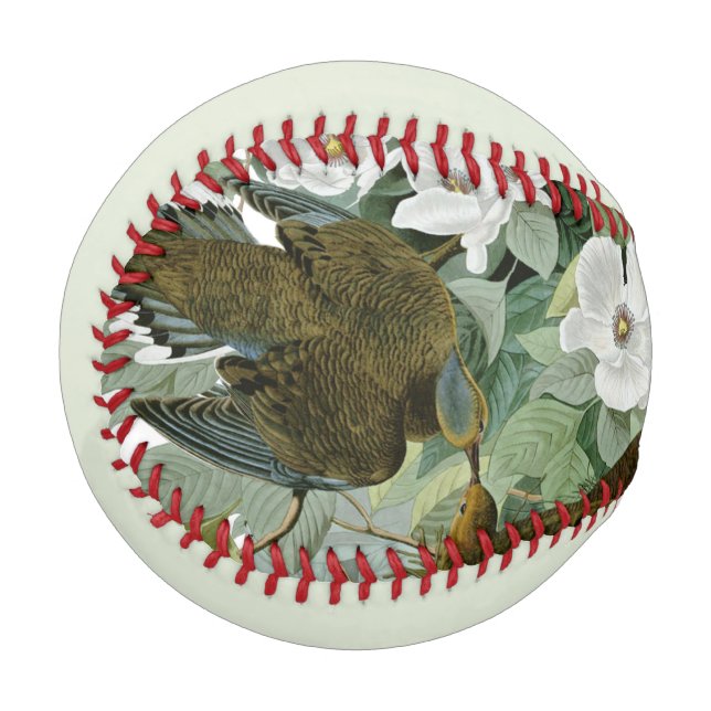 Pelota De Béisbol Carolina Pigeon Audubon Morning Dove (Anverso izquierdo)