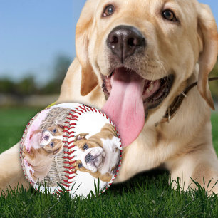 Pelota De Béisbol Colage de Fotos de Cachorro Recuerdo