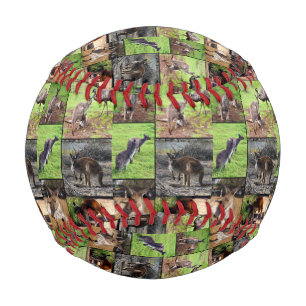 Pelota De Béisbol Collage de fotos canguro, béisbol regular