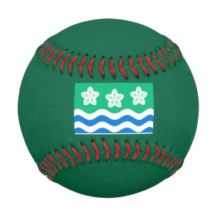Pelota De Béisbol Cumberland (condado del Reino Unido)