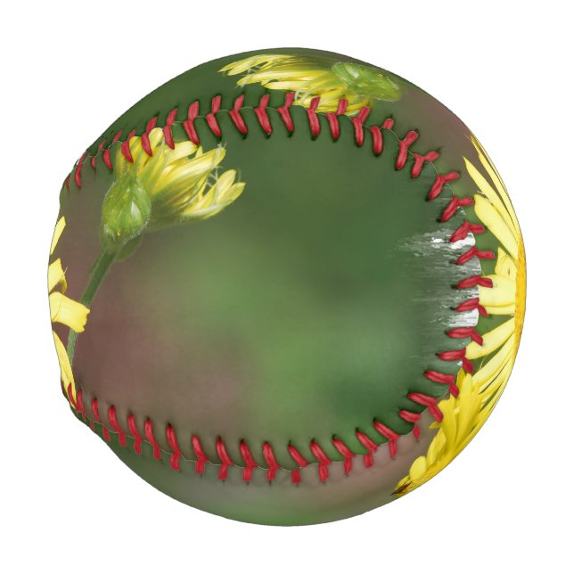 Pelota De Béisbol El Bane de Wolf (Anverso derecho)