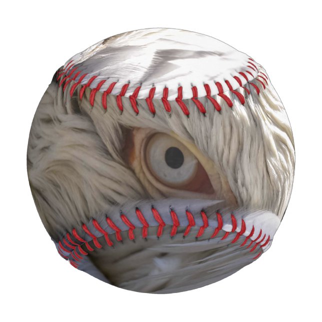 Pelota De Béisbol El ojo de un pelícano (Anverso)