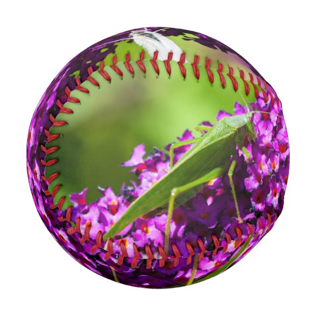 Pelota De Béisbol energía katydid (Anverso izquierdo)