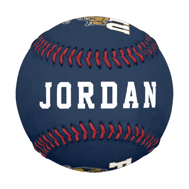 Pelota De Béisbol FIU Panthers (Reverso)