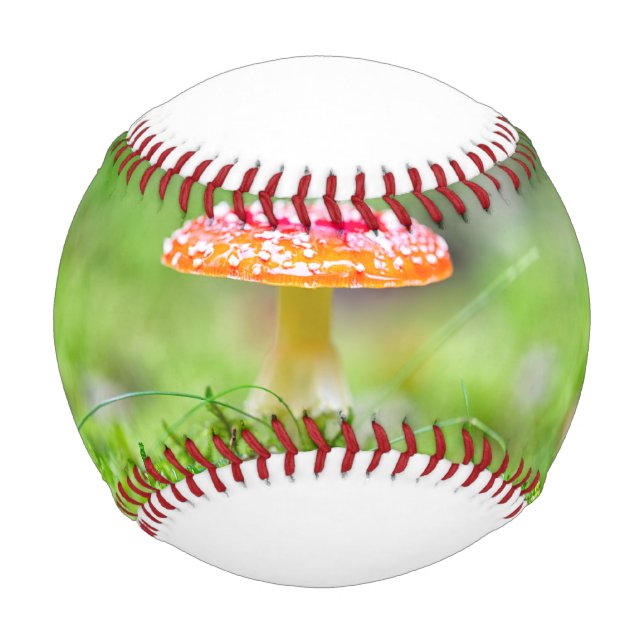 Pelota De Béisbol Fliegenpilz (Anverso)