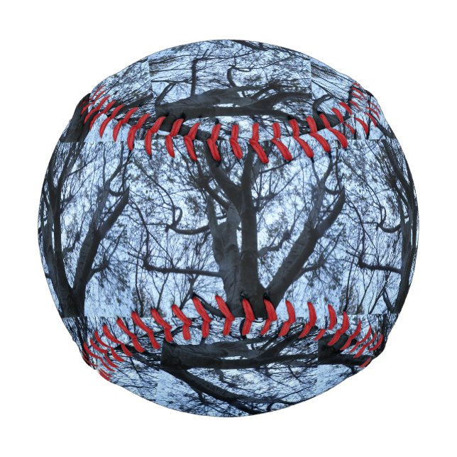 Pelota De Béisbol Fotografía de silueta de árbol de béisbol (Anverso)
