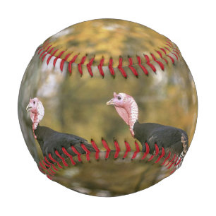 Pelota De Béisbol Fotografía masculina de pares turcos en otoño