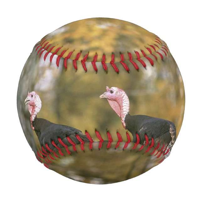 Pelota De Béisbol Fotografía masculina de pares turcos en otoño (Reverso)