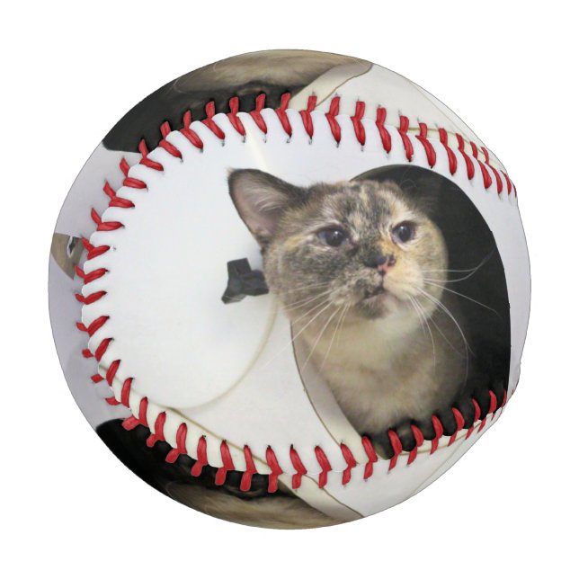 Pelota De Béisbol Gato (Anverso izquierdo)