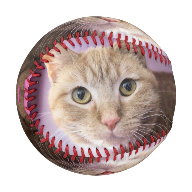 Pelota De Béisbol Gato (Anverso izquierdo)