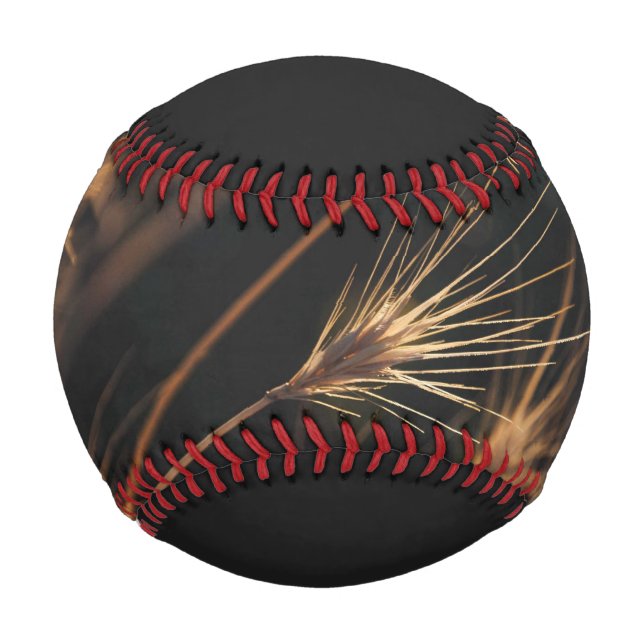 Pelota De Béisbol Grasa salvaje de explosión corta única (Anverso)