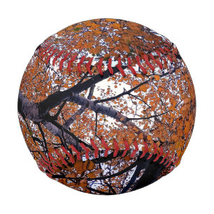 Pelota De Béisbol hojas naranjas