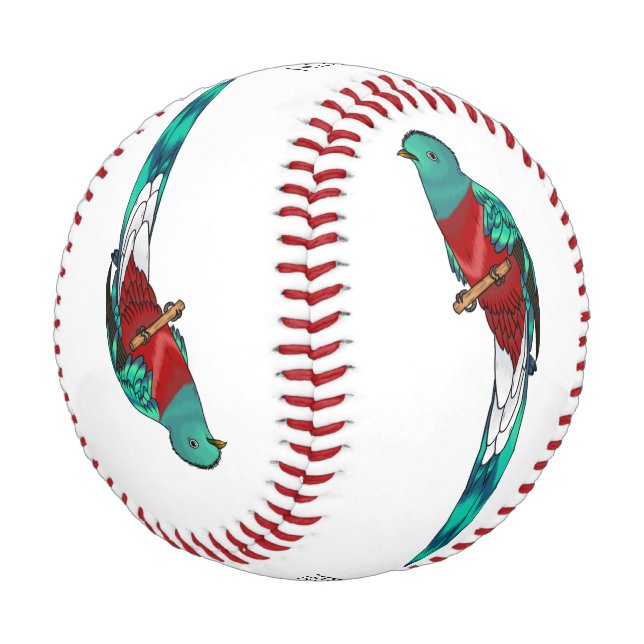 Pelota De Béisbol Ilustracion de personalizado de aves quetzales res (Angular)