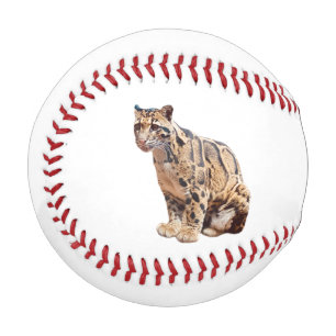 Pelota De Béisbol leopardo nublado fotografía selva gran gato animal