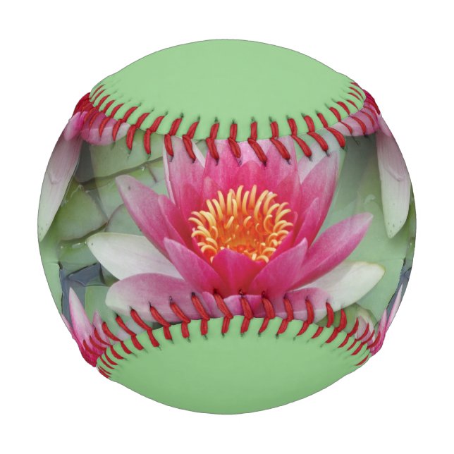 Pelota De Béisbol Lirio de agua de Lotus rosa (Anverso)