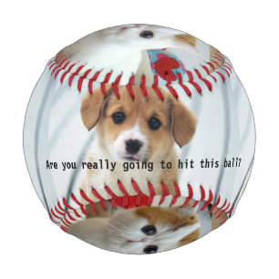 Pelota De Béisbol Marioneta inocente y béisbol gatito