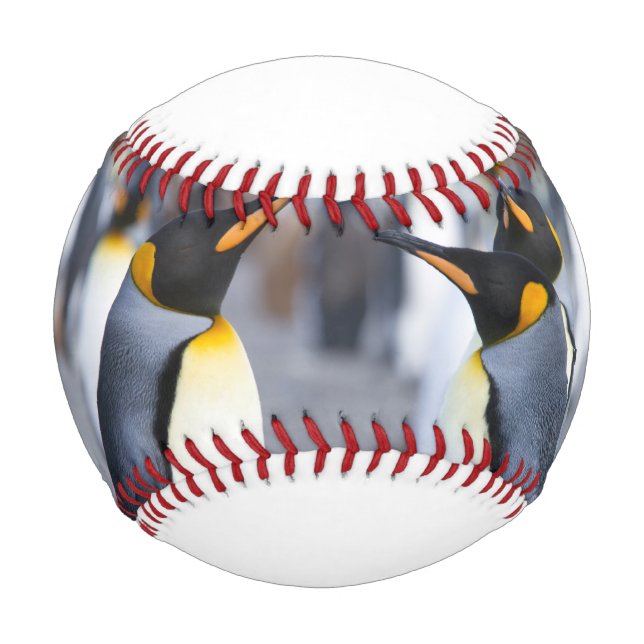 Pelota De Béisbol Pingüinos Rey (Anverso)