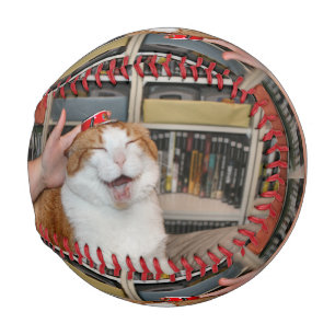 Pelota De Béisbol Podgy Scarlett