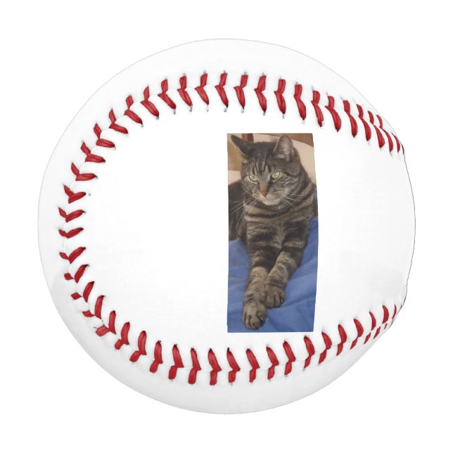 Pelota De Béisbol Regal Dave Baseball (Anverso izquierdo)