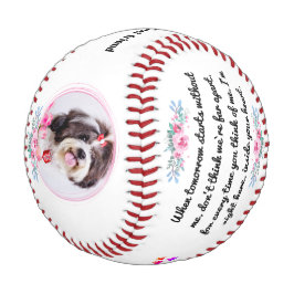 Pelota De Béisbol Regalo Memorial mascota Para Los Amantes De Las Ma