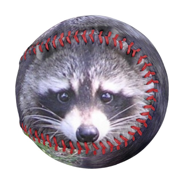 Pelota De Béisbol Rocky el mapache (Anverso derecho)