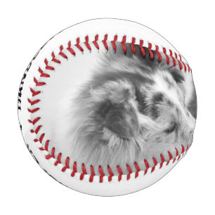 Pelota De Béisbol Sencillo, moderno Mascota Personalizado o foto de