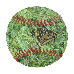 Pelota De Béisbol Una mariposa monarca