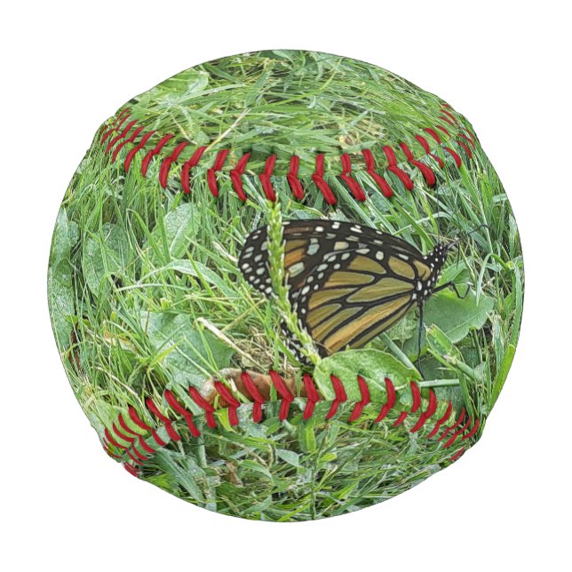 Pelota De Béisbol Una mariposa monarca (Anverso)
