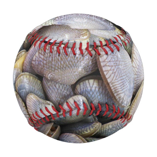 Pelota De Béisbol Venus Clam [ห อ ย ล ย] (Anverso)