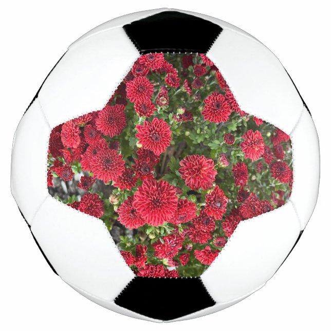pelota de fútbol (Anverso)