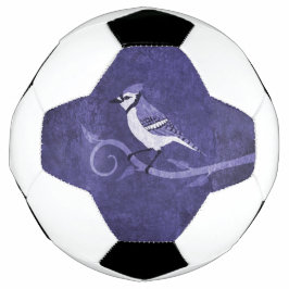 Pelota de fútbol de Jay Azul