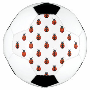 Pelota de fútbol de Ladybugs