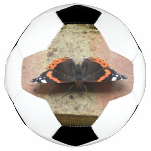 Pelota de fútbol mariposa del Almirante Rojo