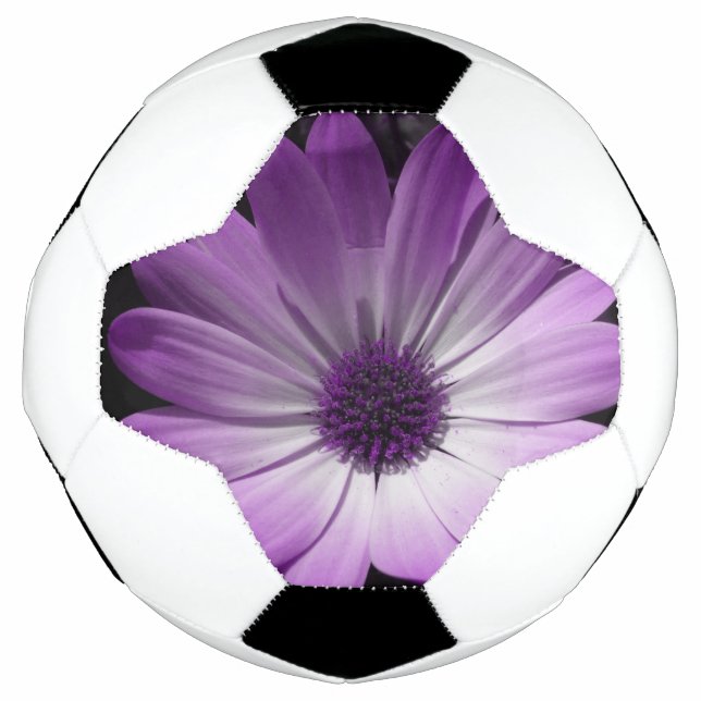 Pelota de Fútbol Purple Daisy (Anverso)
