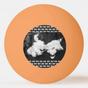 Pelota De Ping Pong abajo esponjoso