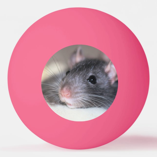 Pelota De Ping Pong Adorable (Anverso)