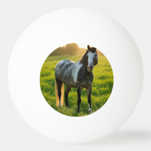 Pelota De Ping Pong Agregar foto de caballo personalizar