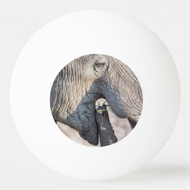 Pelota De Ping Pong Alimentación de elefantes (Reverso)