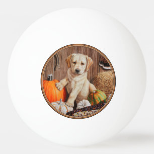 Pelota De Ping Pong Amarillo Labrador Recuperador Calabaza de Perro Pu
