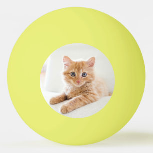 Pelota De Ping Pong Amor gatito