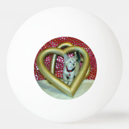 Pelota De Ping Pong Amor, Phoenix Kitten / gato Ping Pong Ball