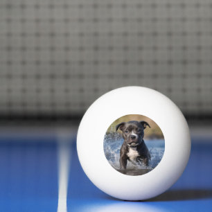 Pelota De Ping Pong Amueblado De Cachorros En El Mar,